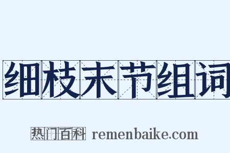 细枝末节组词是什么意思的图片